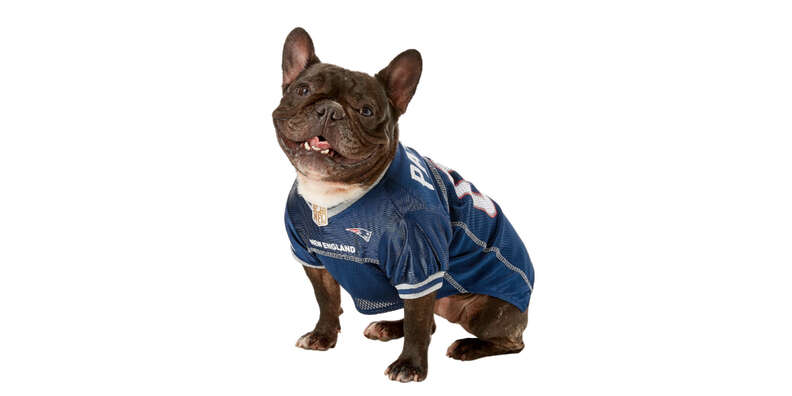 PetSmart - Gear up for game day! Give your pet a huddle-worthy look with  our officially licensed NFL pet jerseys, collars & more 