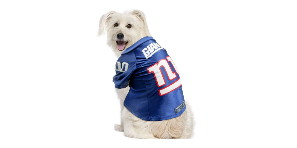 Dog Sports Jerseys And Accessories For Football Season DodoWell The