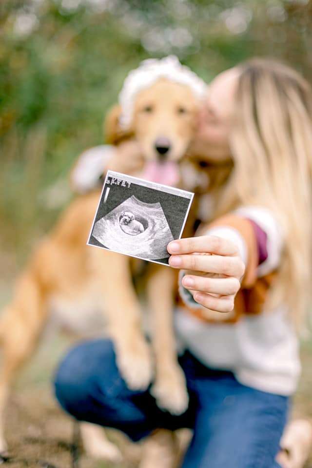 Rescue dog gets pregnancy photoshoot