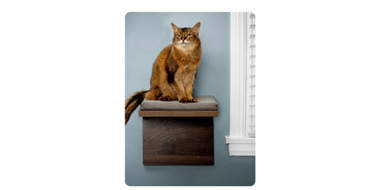 shelves for cats