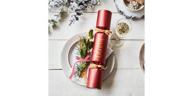 Best Christmas And Hanukkah Cat Treats Dodowell The Dodo