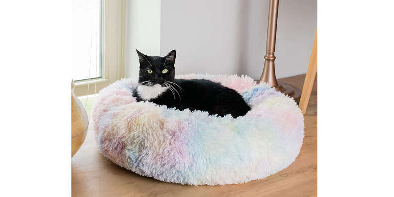 13 Cozy Cat Bed Options To Keep Your Cat Warm This Winter DodoWell The Dodo