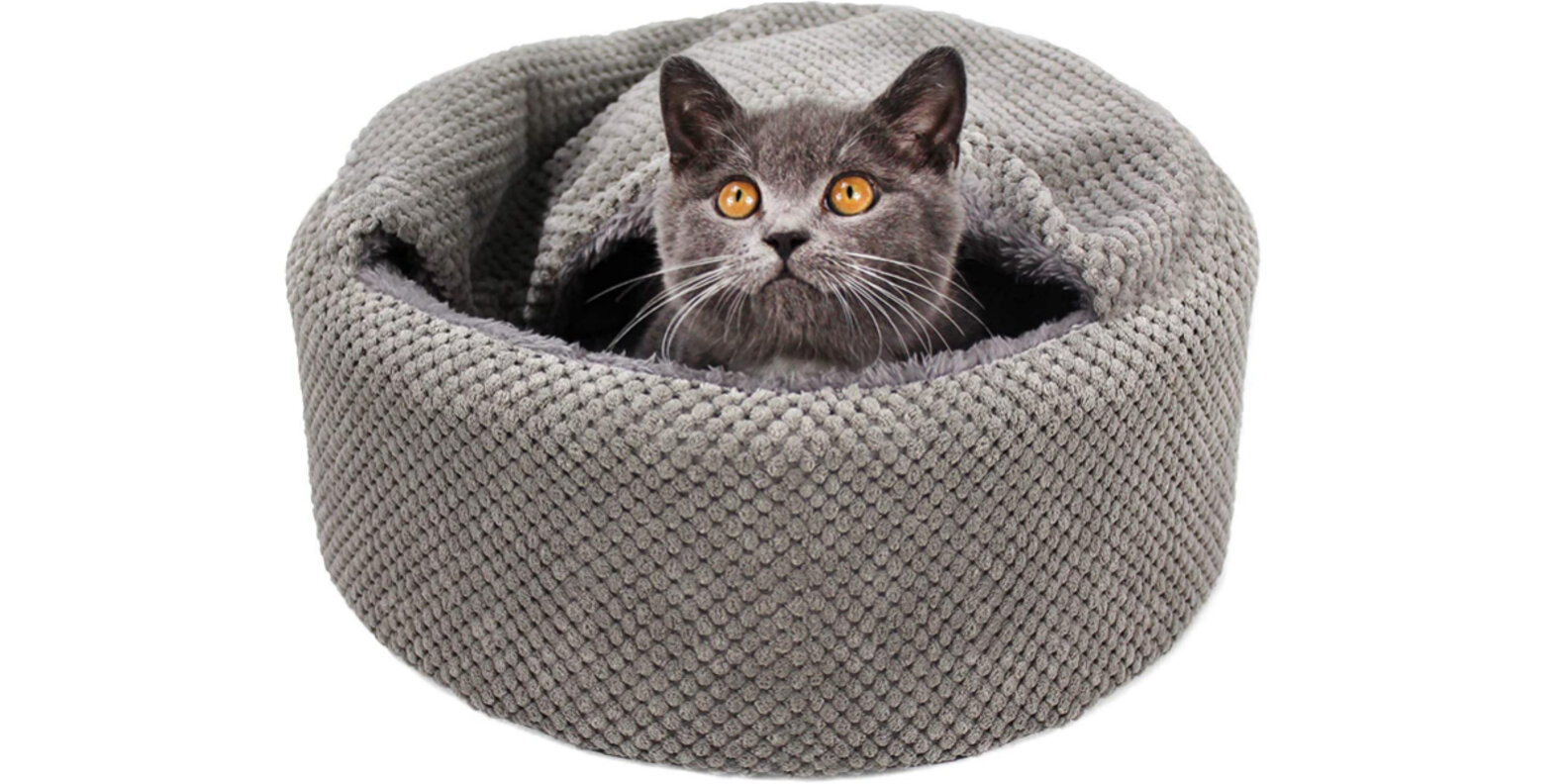 13 Cozy Cat Bed Options To Keep Your Cat Warm This Winter DodoWell