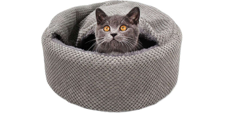 best cat bed cozy