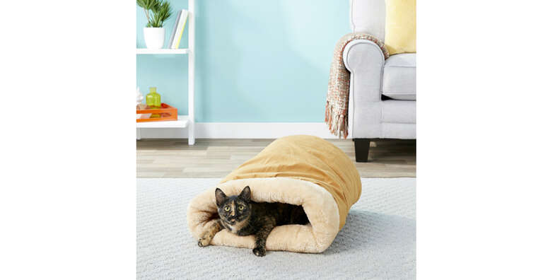 Best self best sale warming cat bed