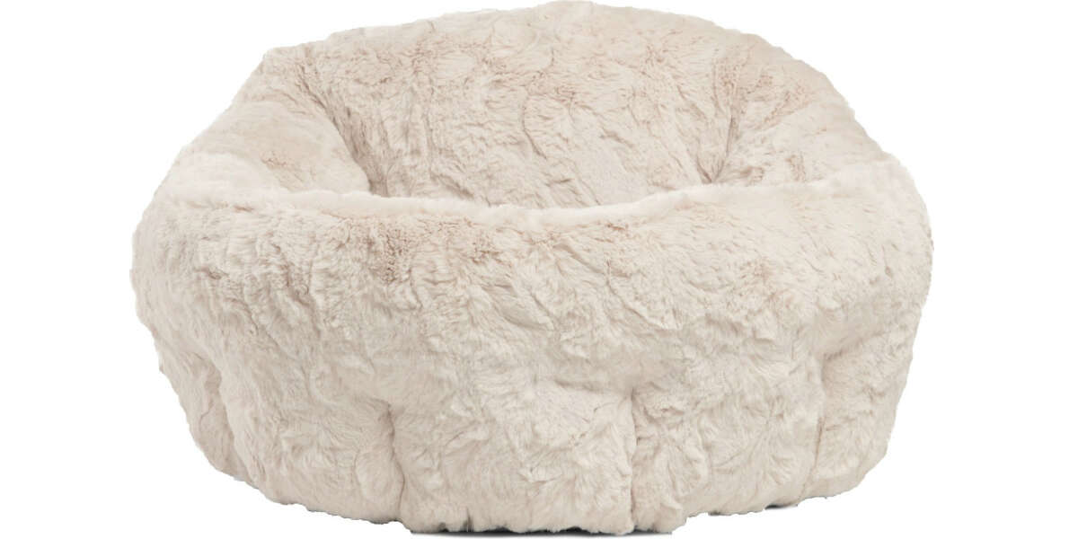 best cat bed cozy