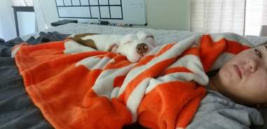 dog cuddling