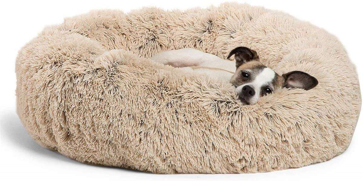 The Best Dog Beds For Cozy Nights DodoWell The Dodo