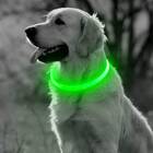 LED Dog Collar