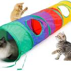 Colorful Cat Tunnel
