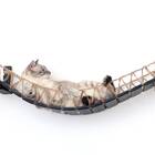 Cat Bridge