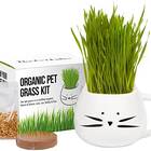 Cat Grass Kit