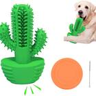 Aggressive Chewer Cactus Toothbrush Toy