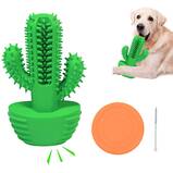 Aggressive Chewer Cactus Toothbrush Toy
