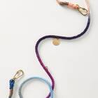 Ombre Dog Leash