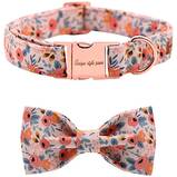 Floral Pet Collar