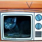 Cat TV House