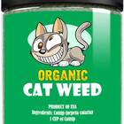 Cat Weed Catnip