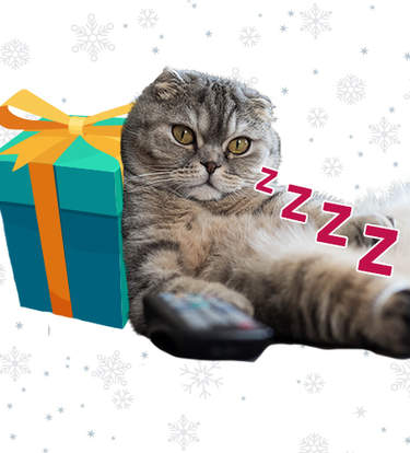 The Best Gifts For Couch Potato Cats (And Their Parents)