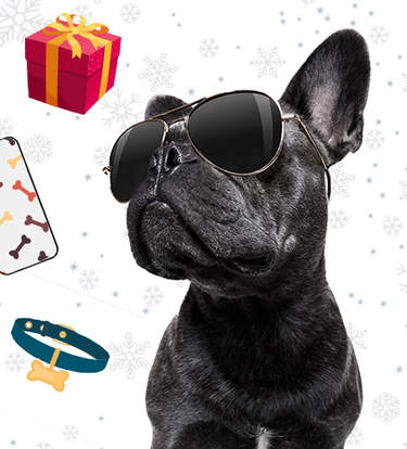 The Best Gifts For Influencer Dogs (And Their Parents)