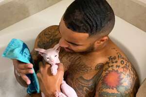 Guy Takes Baths With His Hairless Kitten