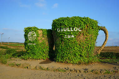 The Osulloc Tea Museum