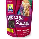 Lucy Pet Products Salmon & Pumpkin Dog Treats