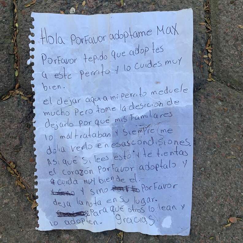 Letter left with abandoned dog in Mexico