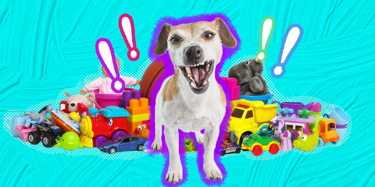 My Dog Is Being Possessive Of Toys DodoWell The Dodo
