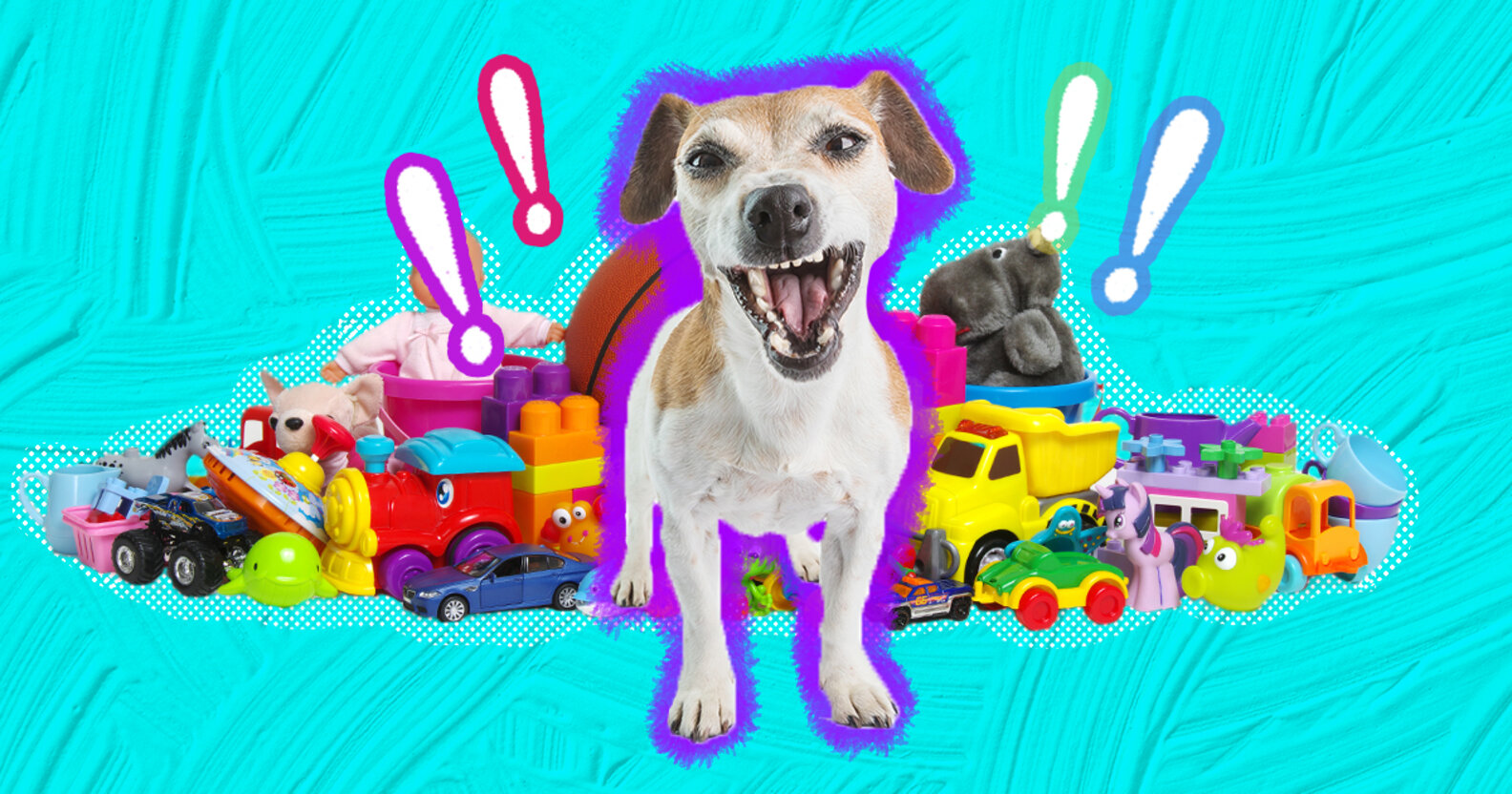 My Dog Is Being Possessive Of Toys DodoWell The Dodo