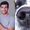 Why Can Dogs Smell Better Than Humans?