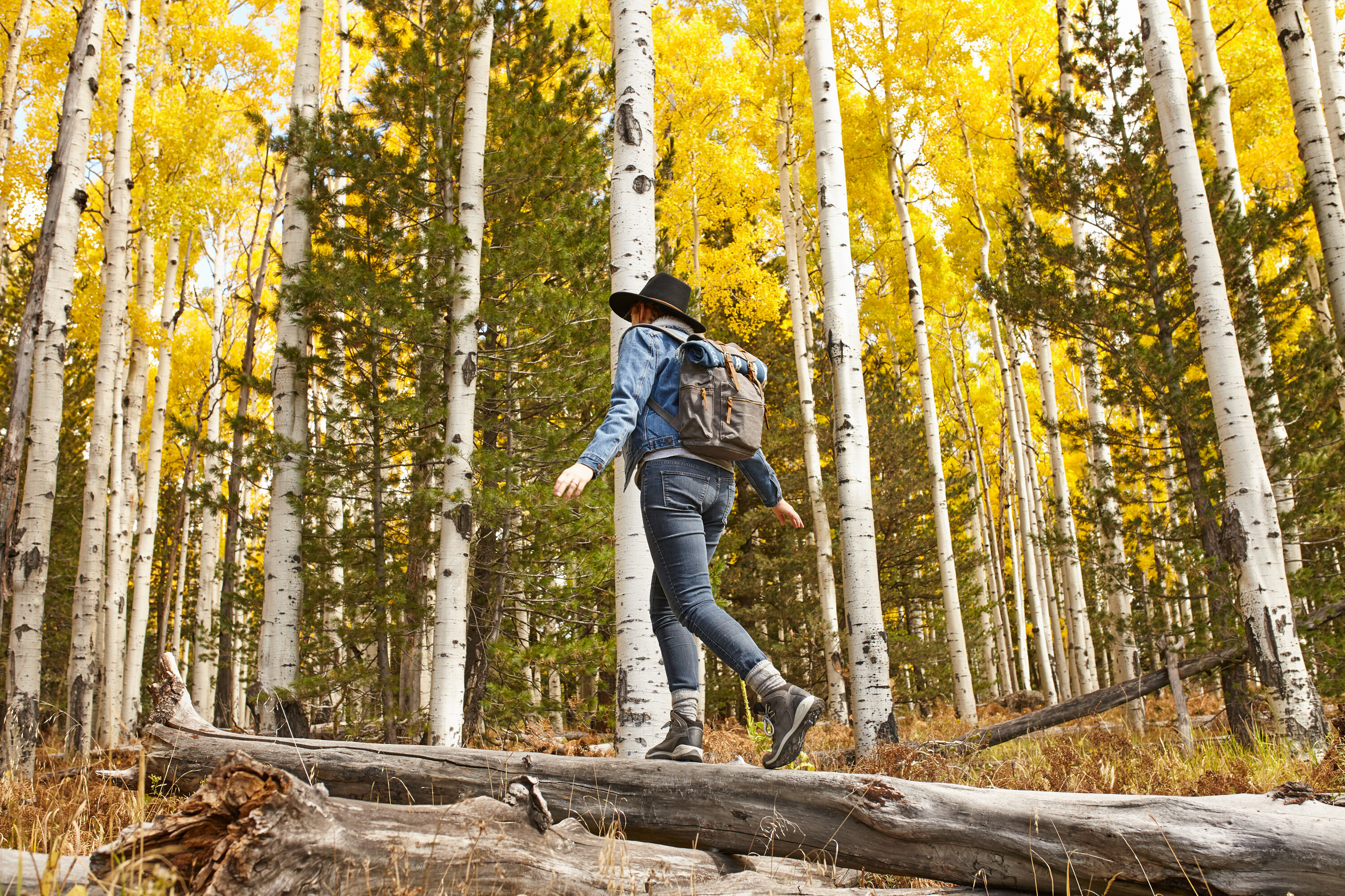 This Northern Arizona Town Is the Gateway to a Thrillingly Unexpected Wilderness
