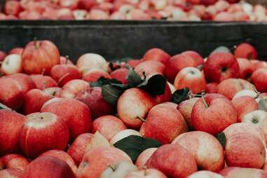 Monroe Farmers Market