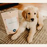 Zen Pets Hemp CBD Chews