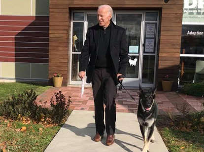 President Elect Joe Biden Injures Foot While Playing With His Dog Nowthis