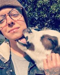 cow giving kisses