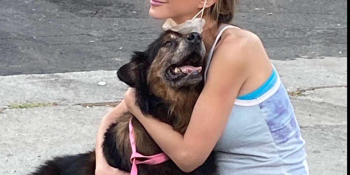 16YearOld Dog Finally Finds His Family Videos The Dodo