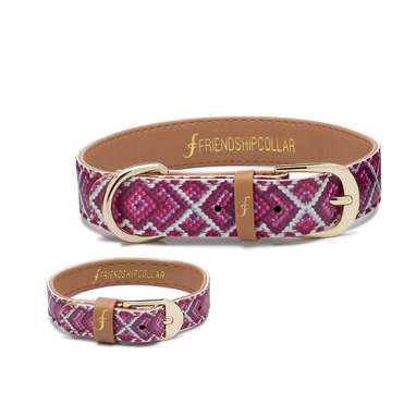 Dog hot sale friendship collar