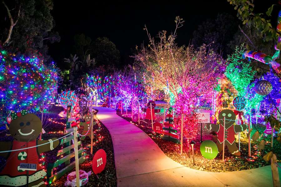 Christmas Events In San Diego 2020 What To Do This Holiday Season 
