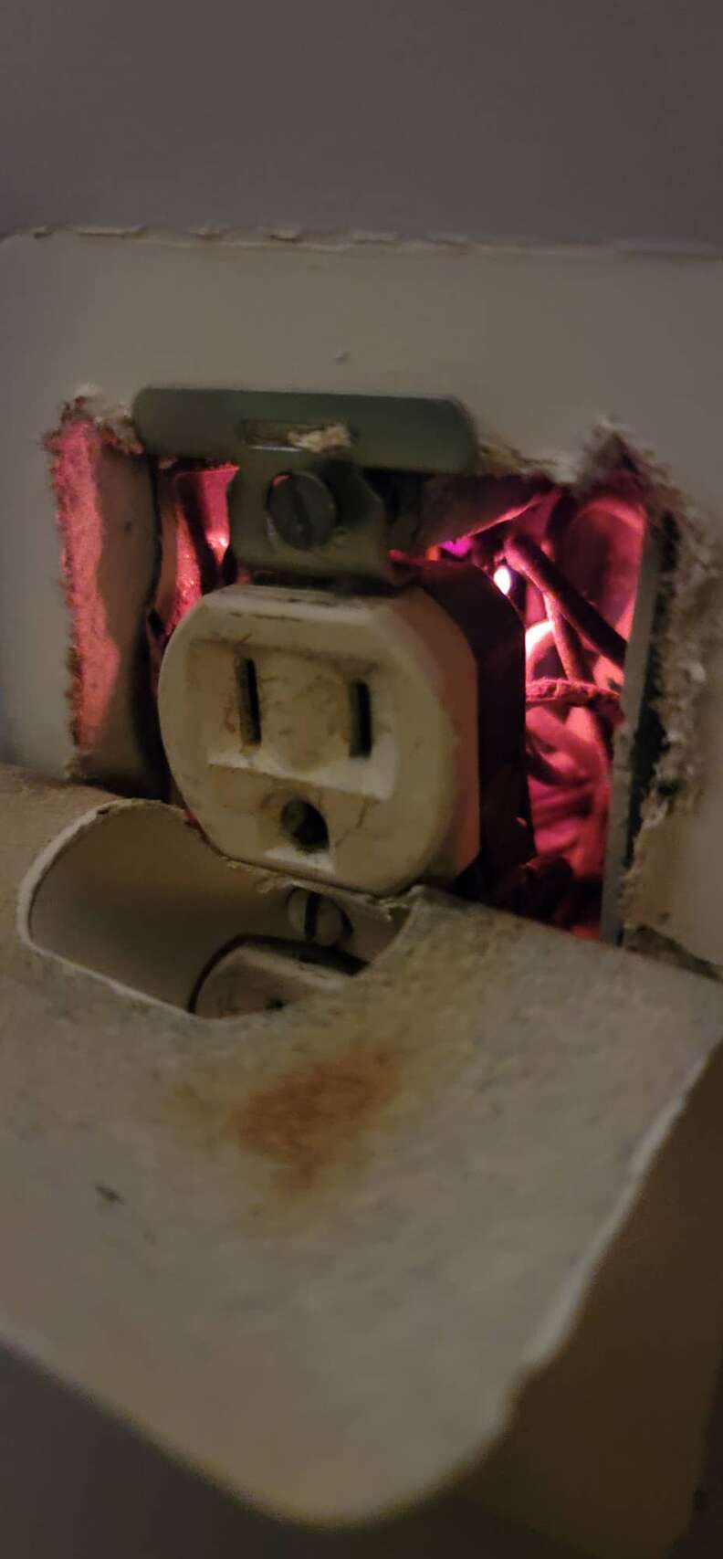 Puppy finds burning outlet