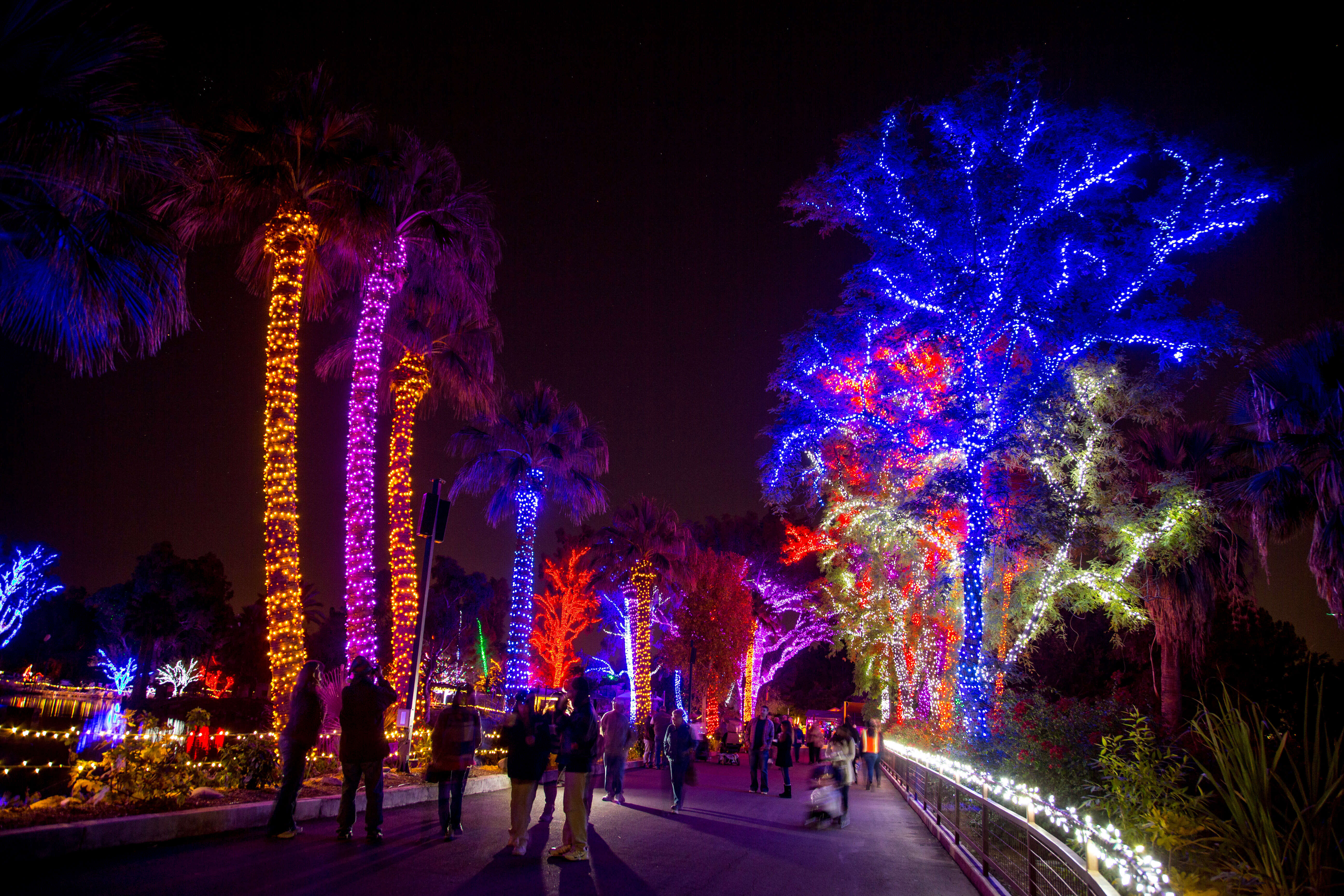 Christmas Activities In Arizona 2022 Christmas Events In Phoenix 2020: What To Do This Holiday Season - Thrillist
