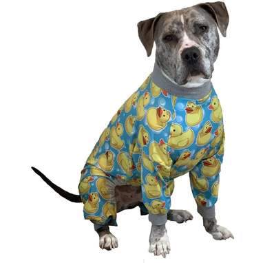 Pitbulls in hot sale jammies