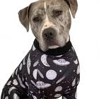 Tooth and Honey Pitbull Pajamas Outer Space UFO