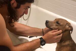 Guy And His Rescue Dog Want To Give Other Dogs A Second Chance At Life