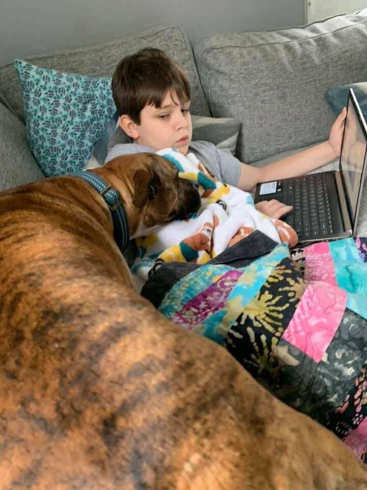 dog snuggles with brother