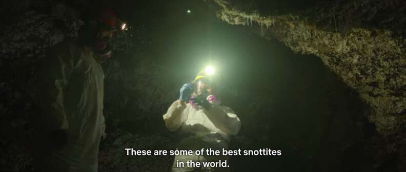 netflix alien worlds snottite