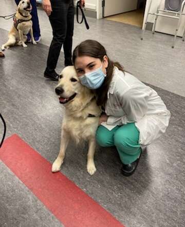 Shiloh the therapy dog visits doctors in hospital