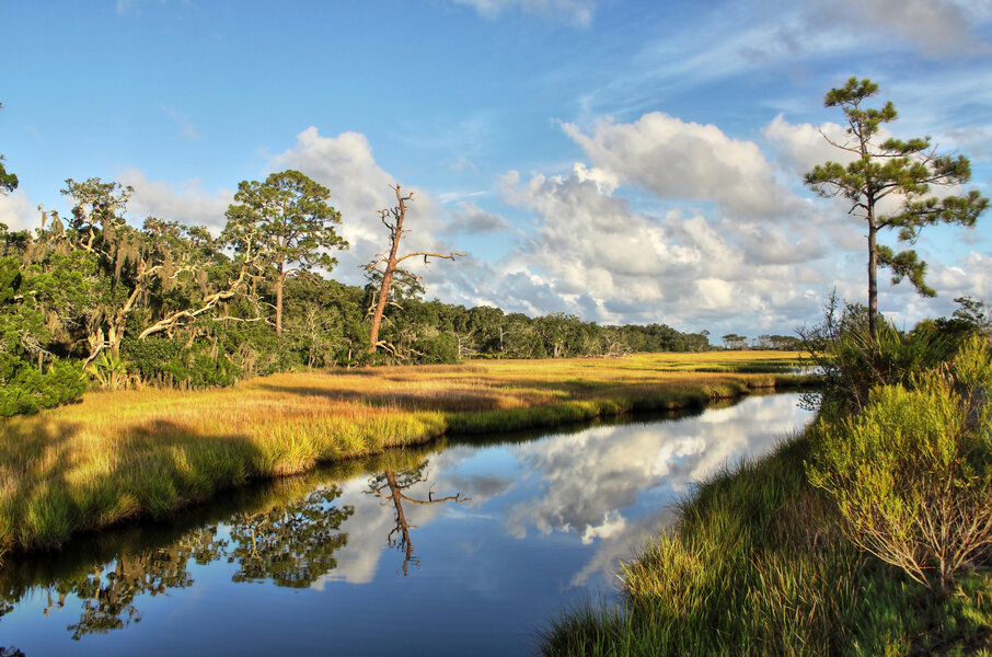 Places To Eat At Jekyll Island Things to Do on Jekyll Island: Where to Eat, Places to Explore & More