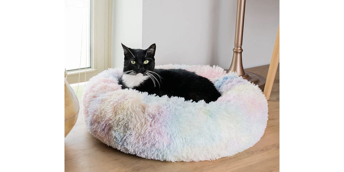 Cozy cat beds best sale