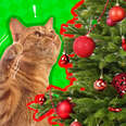 cat proof christmas tree ornament